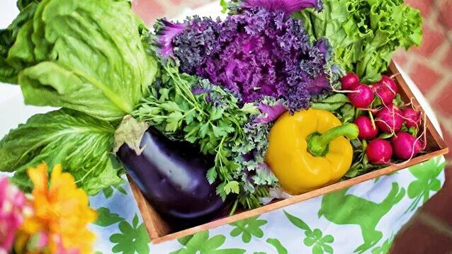 verduras e hortalizas na dieta da dieta Ducan